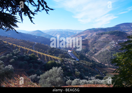 Vista vigneti a pinhao Quinta do noval douro portogallo Foto Stock