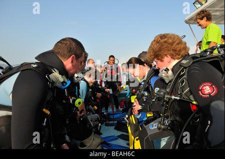 Gruppo di immersioni nella baia di Tadjoura, Golfo di Aden Foto Stock