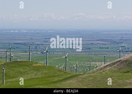 Mulini a vento di Altamont Pass si affacciano Tracy, California Foto Stock