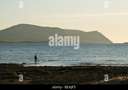 Dh pescatore di pesci di compensazione flusso SCAPA ORKNEY Wading pescatore cattura la pesca off shore sera Hoy colline Foto Stock