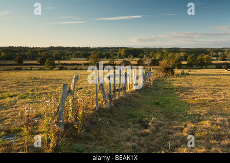 Autunno luce della sera oltre il Kennet Valley in Aldermaston, Berkshire, Regno Unito Foto Stock