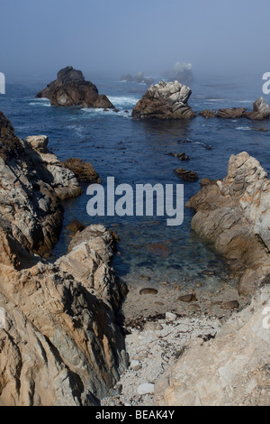 Whalers cove, Point Lobos State Reserve, CALIFORNIA, STATI UNITI D'AMERICA Foto Stock