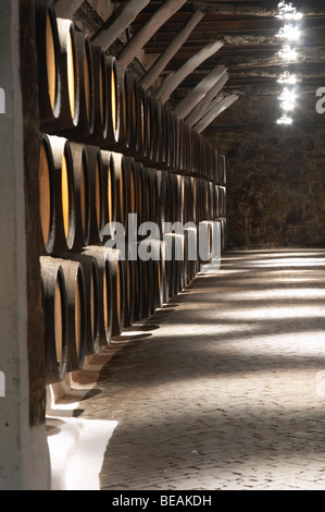 Di barili con porta di invecchiamento sandeman lodge Port Vila Nova de Gaia Porto Portogallo Foto Stock