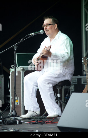 JC Carroll giocando Greenman festival 2009, Glanusk Park, Brecon Galles Foto Stock