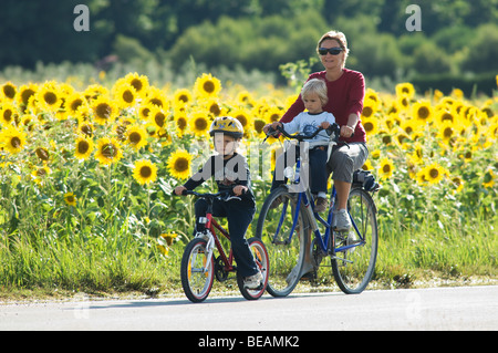 La famiglia in viaggio in bicicletta Foto Stock