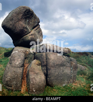 Formazione di roccia sul Longshaw Station wagon in 'Peak District', Derbyshire,Inghilterra,'Gran Bretagna','Regno Unito" Foto Stock