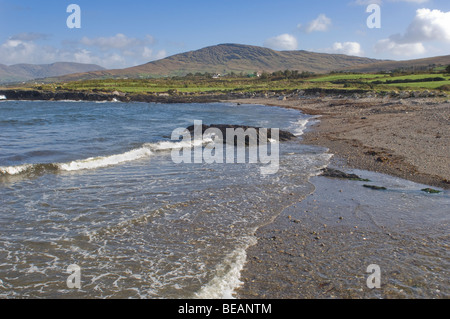 Costa di Iris Foto Stock