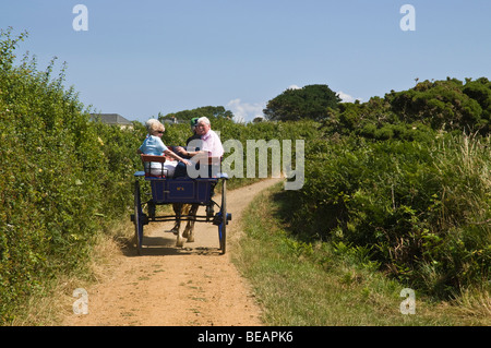 Dh SARK SARK isola turisti horsedrawn carrello paese cavallo di corsia di viaggio i visitatori di trasporto Foto Stock