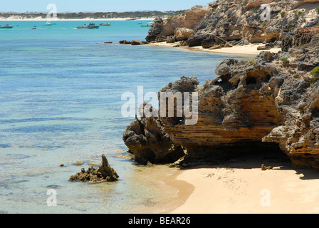 Coste calcaree, a sud di accappatoio, Sud Australia Foto Stock