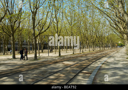 Esplanade des Quinconces platani i binari del tram bordeaux francia Foto Stock