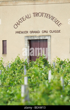 Chateau trottevieille Saint Emilion Bordeaux Francia Foto Stock