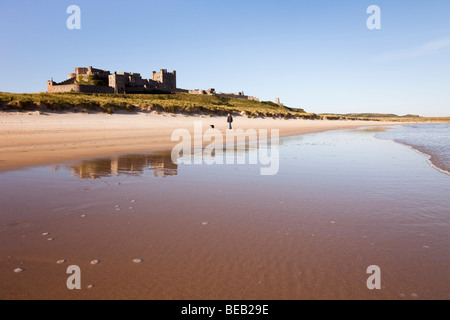 Vista lungo la tranquilla spiaggia di sabbia con il castello di Bamburgh riflessa nella sabbia bagnata sul foreshore con una persona a piedi un cane. Northumberland Bamburgh England Regno Unito Foto Stock