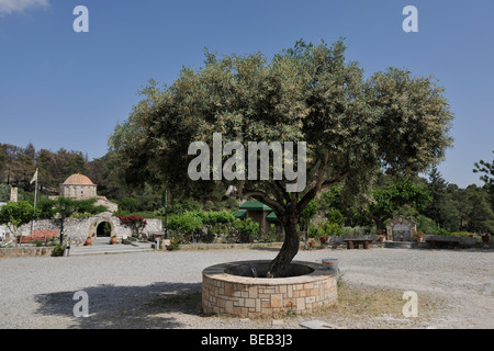 Moni Thari monastero, Rodi, Grecia, Europa Foto Stock