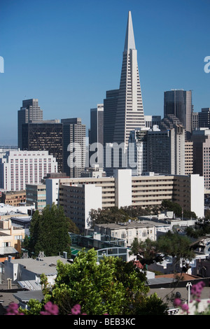 Grattacieli in una città, Piramide Transamerica, San Francisco, California, Stati Uniti d'America Foto Stock