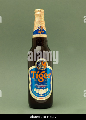 Birra indiana Tiger Foto Stock