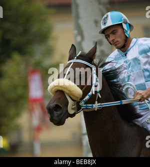 Palio di Asti cavallo di razza piemontese festival Italia Foto Stock