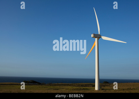 Le turbine eoliche in un campo, Pakini Nui progetto eolico, South Point, Big Island, Hawaii, STATI UNITI D'AMERICA Foto Stock