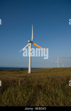 Le turbine eoliche in un campo, Pakini Nui progetto eolico, South Point, Big Island, Hawaii, STATI UNITI D'AMERICA Foto Stock