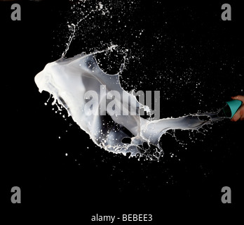 Spruzzata del latte Foto Stock