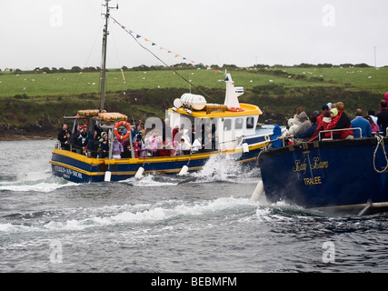 Funghi il Delfino, Dingle Penninsula, Co. Kerry, Irlanda. Foto Stock