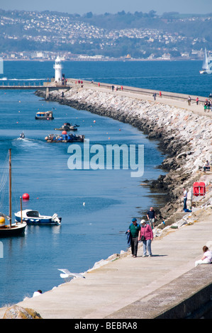 Struttura di frangionde e del faro, Brixham, Devon, Regno Unito Foto Stock