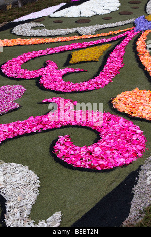 Petali di fiori e i semi utilizzati per rendere le immagini in tappeti floreali presso il Corpus Christi celebrazioni in La Orotava Tenerife Foto Stock