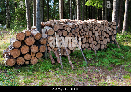 Una pila di legna da ardere è pronta per l'inverno, Norvegia Foto Stock