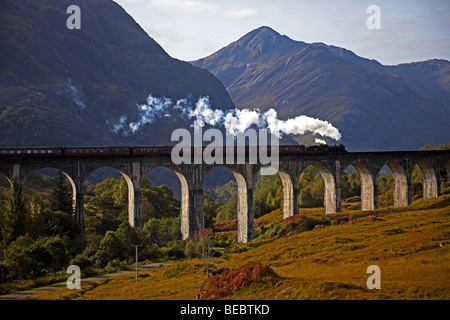 Giacobita treno a vapore, viadotto Glenfinnan, Lochaber, Scotland, Regno Unito, Europa Foto Stock