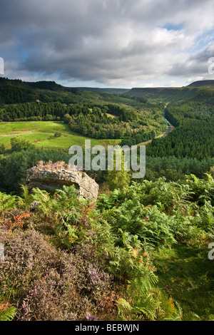 Newtondale da Levisham Moor, North York Moors National Park Foto Stock