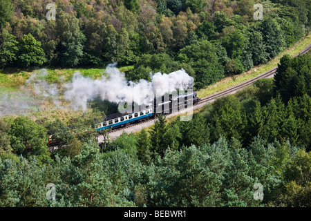 Motore a vapore in Newtondale da Levisham Moor, North York Moors National Park Foto Stock