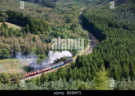 Motore a vapore in Newtondale da Levisham Moor, North York Moors National Park Foto Stock