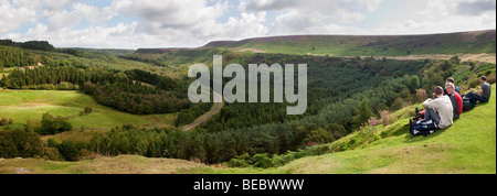 Newtondale da Levisham Moor, North York Moors National Park Foto Stock