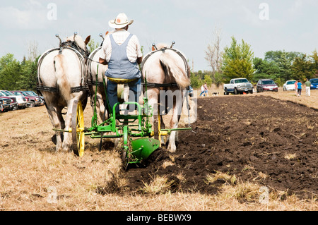 A cavallo dimostrazioni di allevamento durante il giorno Homesteader Harvest Festival al Beaver Creek Area Natura in Sud Dakota. Foto Stock