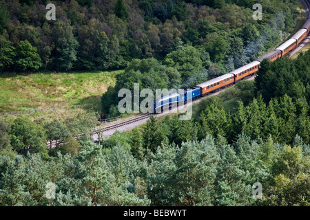 Motore a vapore in Newtondale da Levisham Moor, North York Moors National Park Foto Stock