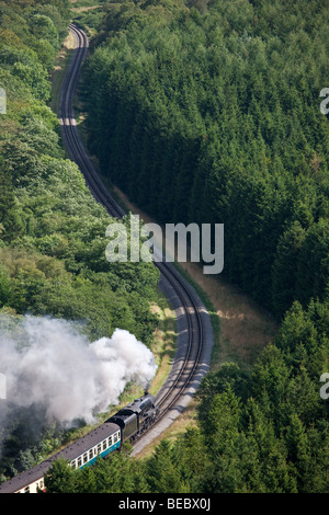 Motore a vapore in Newtondale da Levisham Moor, North York Moors National Park Foto Stock