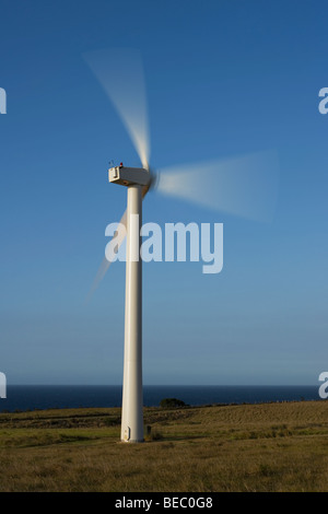 Le turbine eoliche in un campo, Pakini Nui progetto eolico, South Point, Big Island, Hawaii, STATI UNITI D'AMERICA Foto Stock