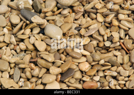 Kiesel am Strand - pebble sulla spiaggia 41 Foto Stock