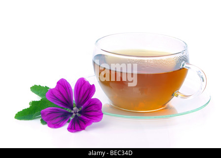 Tee Malve - tea malva 07 Foto Stock