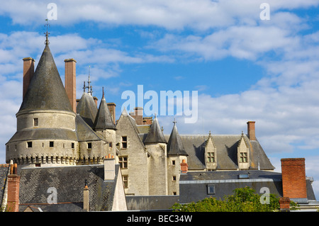 Chateau de Langeais. Il castello di Langeais . Touraine. Indre-et-Loire departament. Valle della Loira, Francia Foto Stock