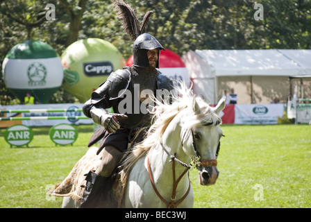 Torneo di cavalieri in strzegom presso HSBC FEI World Cup 2009 Foto Stock