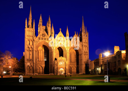 Crepuscolo paesaggio West in alzato frontale la città di Peterborough Cathedral Cambridgeshire England Regno Unito Foto Stock