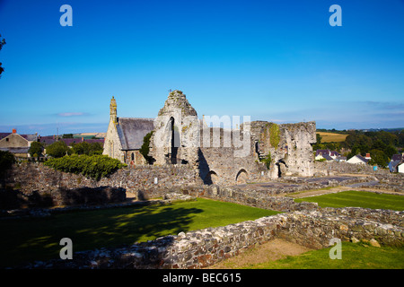 St Dogmaels Abbey, St Dogmaels, Ceredigion, West Wales, Regno Unito Foto Stock