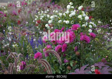 Bellissimi fiori in motivi di Chateau de Compiègne in Francia Foto Stock