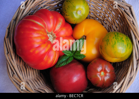 Cimelio di organico pomodori e basilico. Foto Stock