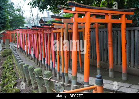 Fila di Torii gates a un tempio complesso in Tokyo, Giappone Foto Stock