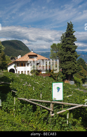 Mitterdorf, del vigneto e della cantina hotel, Caldaro o Lago di Caldaro, Trentino, Alto Adige, Italia, Europa Foto Stock