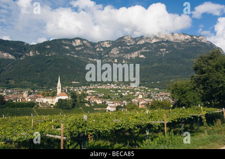 Vigneti, villaggio di montagna, Caldaro o Caldaro, Trentino, Alto Adige, Italia, Europa Foto Stock