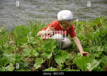 Bambino, 7, seduti in un prato a fianco di un fiume Foto Stock