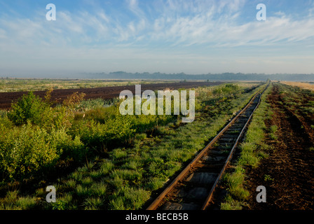 Loren dam in Moro, un ex torba regione di coltivazione, Breitenburger Moor, Schleswig-Holstein, Germania, Europa Foto Stock