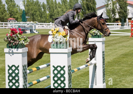 Un cavaliere show jumping a Prati di abete rosso a Calgary, Alberta, Canada Foto Stock